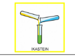 IKASTEIN