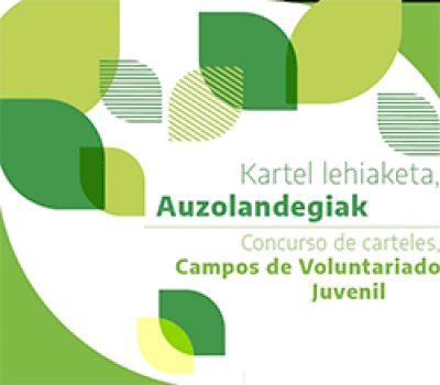 &quot;Auzolandegiak programaren&quot; Kartel lehiketa