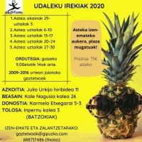 Udaleku irekiak Azkoitian