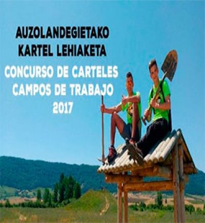 Auzolandegin kartel lehiaketa2017